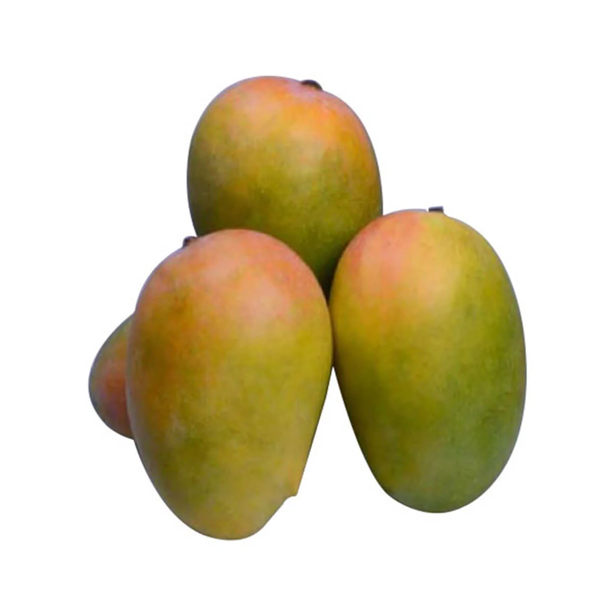 Kesar Mangoes Box (1.3KG TO 1.5 KG APPROX)